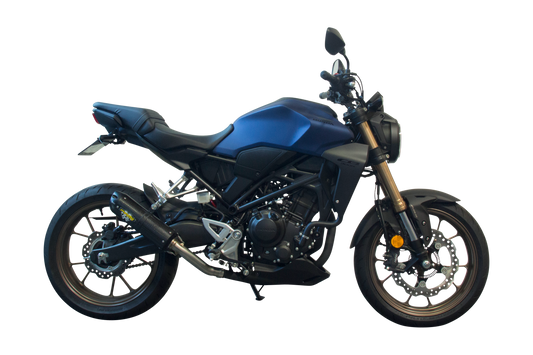 Honda CB300R Slip-On System (2019-2021) - Two Brothers Racing - TBR Canada